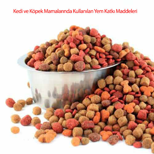 ukraynadan köpek getirmek